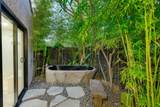 24 Calle Ardilla - Photo 33