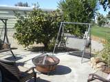 33361 Barcelona Drive - Photo 8