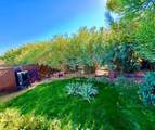 12 Yucca Lane - Photo 24