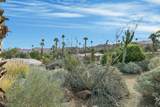 1 Desert Fern Lane - Photo 21