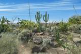1 Desert Fern Lane - Photo 23