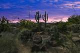 1 Desert Fern Lane - Photo 24
