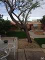 79760 Desert Willow Street - Photo 6