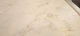244 Standing Bear - Photo 23