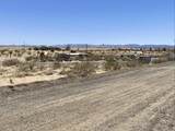 205 Old Woman Springs Road - Photo 12