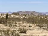 205 Old Woman Springs Road - Photo 15