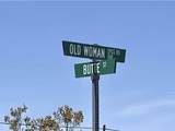 205 Old Woman Springs Road - Photo 33
