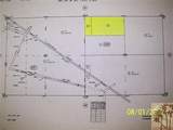 80 Acres Off I-10 - Photo 2