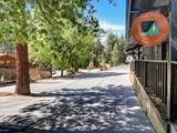 25870 Highway 243 - Photo 13