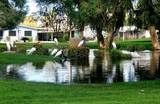 67 Zacharia Drive - Photo 36