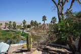 80142 Camino Santa Elise - Photo 14