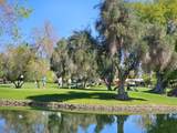 246 Paseo Laredo - Photo 25