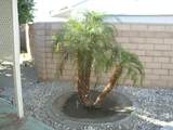 32410 San Miguelito Drive - Photo 4
