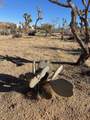 0 Saddleback Road - Photo 13