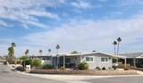 38194 Pigeon Springs Drive - Photo 44