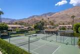 215 Calle Bravo - Photo 35