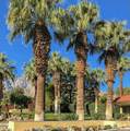2801 Los Felices Circle - Photo 29