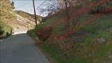 29718 Central Ave Avenue - Photo 1