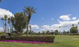 79336 Montego Bay Drive - Photo 48