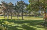 67299 Chimayo Drive - Photo 17