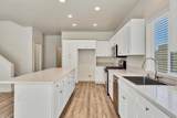 33912 Whispering Palms Trail - Photo 11
