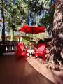 25995 Hwy 243 - Photo 38