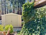 25995 Hwy 243 - Photo 4