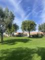 14777 Palm Drive - Photo 26