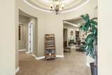50640 Mandarina - Photo 8