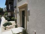 238 Paseo Bravo - Photo 41