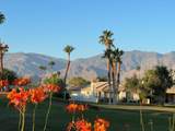 28944 Desert Princess Drive - Photo 19