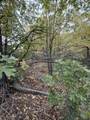0 Lytle Creek Road - Photo 6