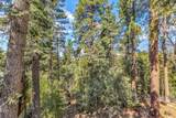 52680 Pine Ridge Road - Photo 42