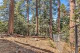 52680 Pine Ridge Road - Photo 72