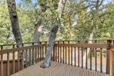 25281 Deer Path Road - Photo 13