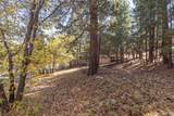 1409 Klamath Road - Photo 3