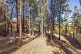 1409 Klamath Road - Photo 6
