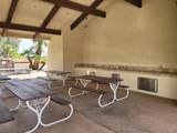 15300 Palm Drive - Photo 28