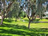 15300 Palm Drive - Photo 35