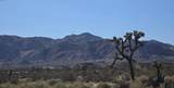 6414 Indio Avenue - Photo 8