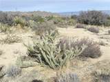 0 Carrizo Road - Photo 10