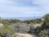 0 Carrizo Road - Photo 14