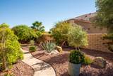 43247 Fiore Street - Photo 42
