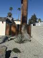 72440 Cactus Drive - Photo 3