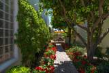 79365 Mandarina - Photo 44