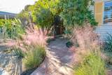 310 Via Don Benito - Photo 47