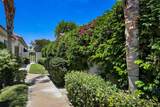 479 Desert Holly Drive - Photo 14