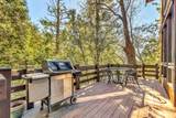 24700 Forest Drive - Photo 17