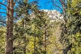 24700 Forest Drive - Photo 49