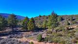 1 Butterfly Peak Road - Photo 1